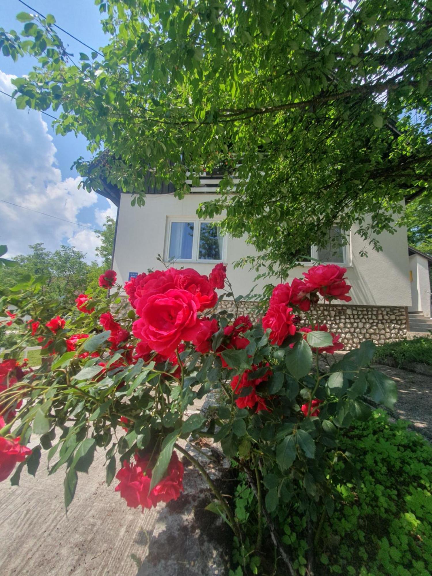 Guesthouse Nikola Plitvicka Jezera Ngoại thất bức ảnh